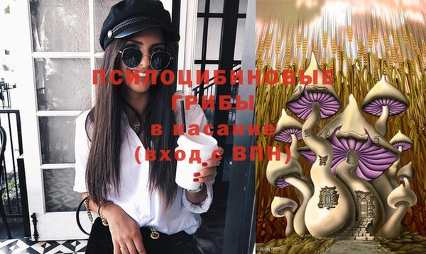молекула духа Бугульма