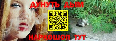 крисы Аргун