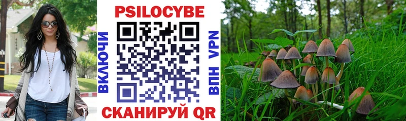 Галлюциногенные грибы Cubensis  Купить закладки  Октябрьский 