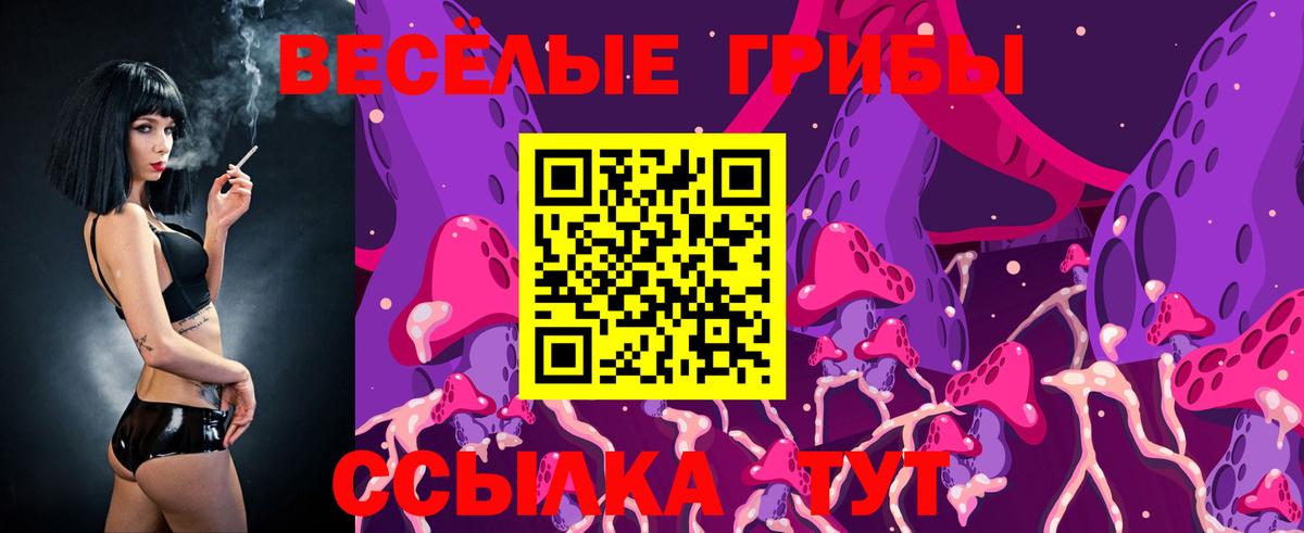 Псилоцибиновые грибы Psilocybine cubensis Октябрьский