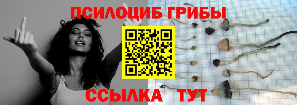 Галлюциногенные грибы мухоморы  Вход с VPN  Октябрьский 